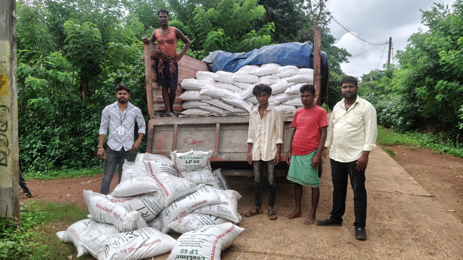EcoLime+ field distribution